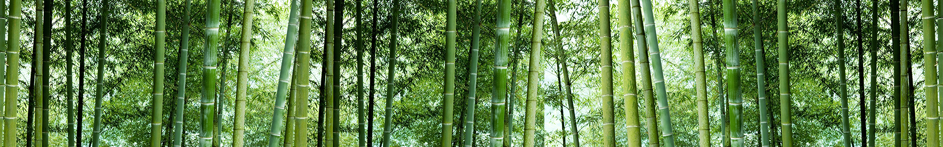 其他礦用門(mén)產(chǎn)品